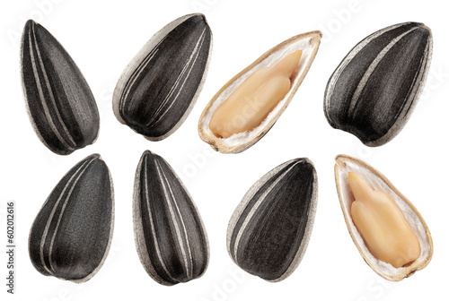 sunflower seed, isolated on white background, full depth of field