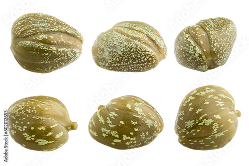 caper isolated on white background, full depth of field photo