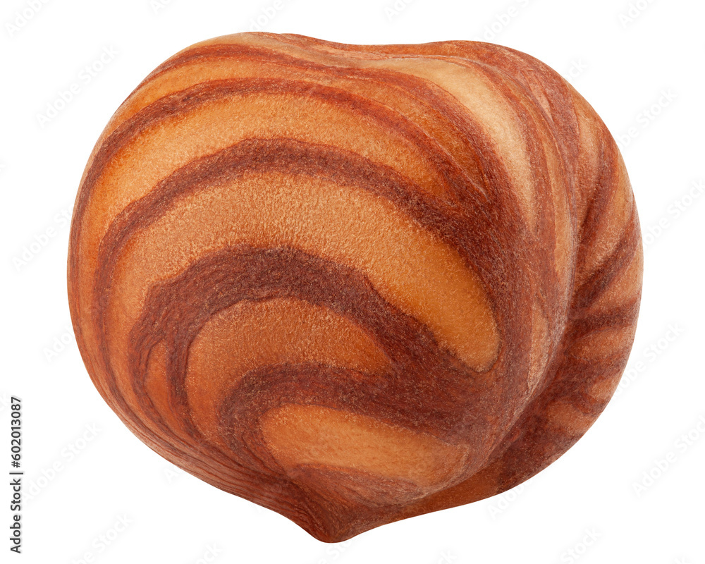 Fototapeta premium Hazelnut peeled, isolated on white background, full depth of field