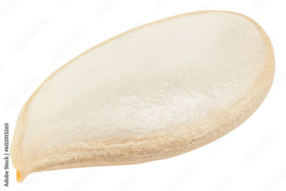 Pumpkin seed, isolated on white background, full depth of field Pumpkin seed, isolated on white background, full depth of field