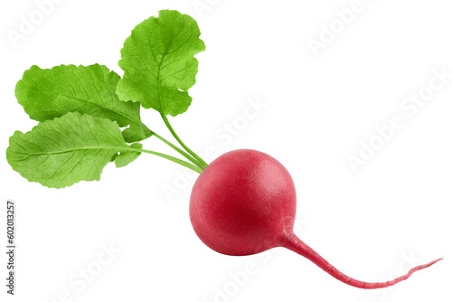 Radish isolated on white background, full depth of field