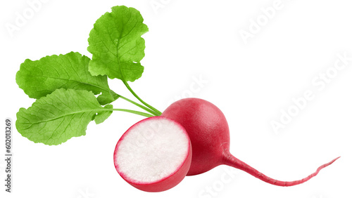 Obraz na plátně Radish isolated on white background, full depth of field