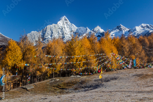 Prayer flags in Haizi valley near Siguniang mountain in Sichuan province, China photo