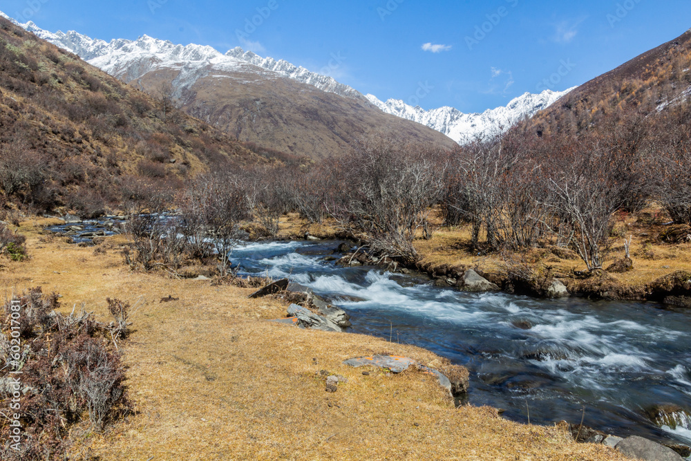 River in Haizi valley near Siguniang mountain in Sichuan province, China