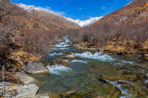 River in Haizi valley near Siguniang mountain in Sichuan province, China