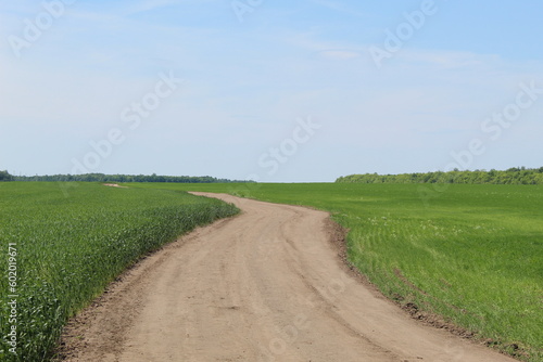 A dirt road in a green spring field.