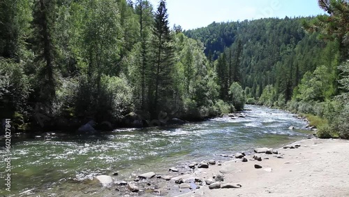 Summer landscape with fast river with stone watercourse, clear blue water and green forest along banks on sunny day. Video. Ehe-Ukhgun River, Nilovka, Tunka foothill valley, Buryatia photo