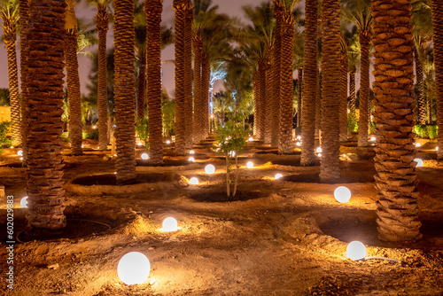 Lots of palms illuminated at night, Diriyah, Riyadh, Saudi Arabia photo