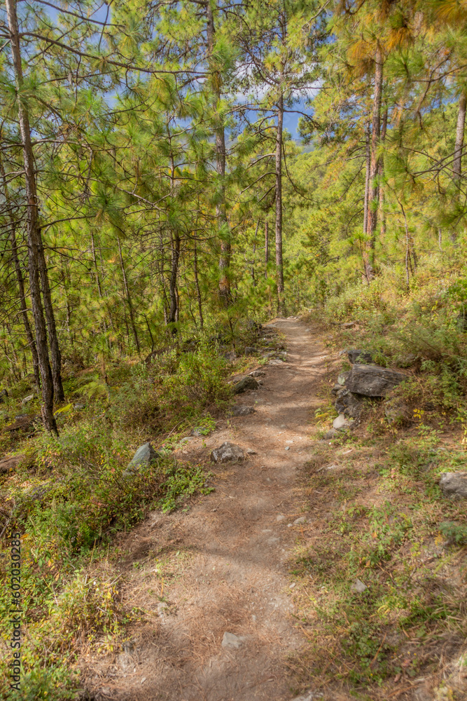 Hiking trail in Tiger Leaping Gorge, Yunnan province, China