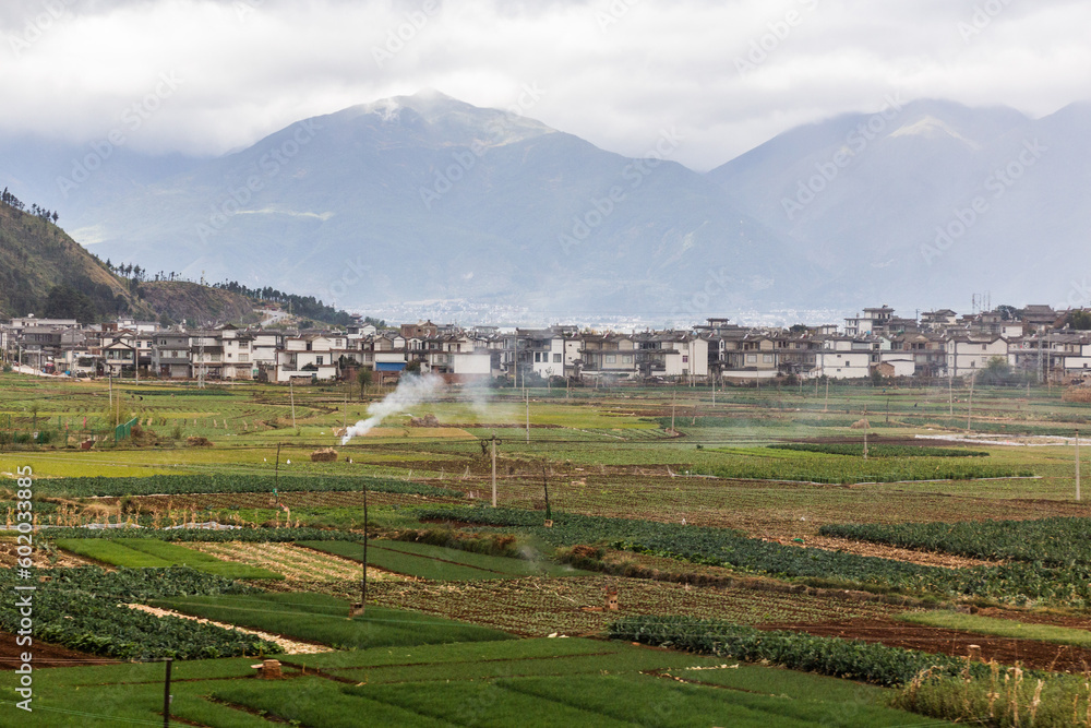 Fields near Kanglang town, Yunnan province, China