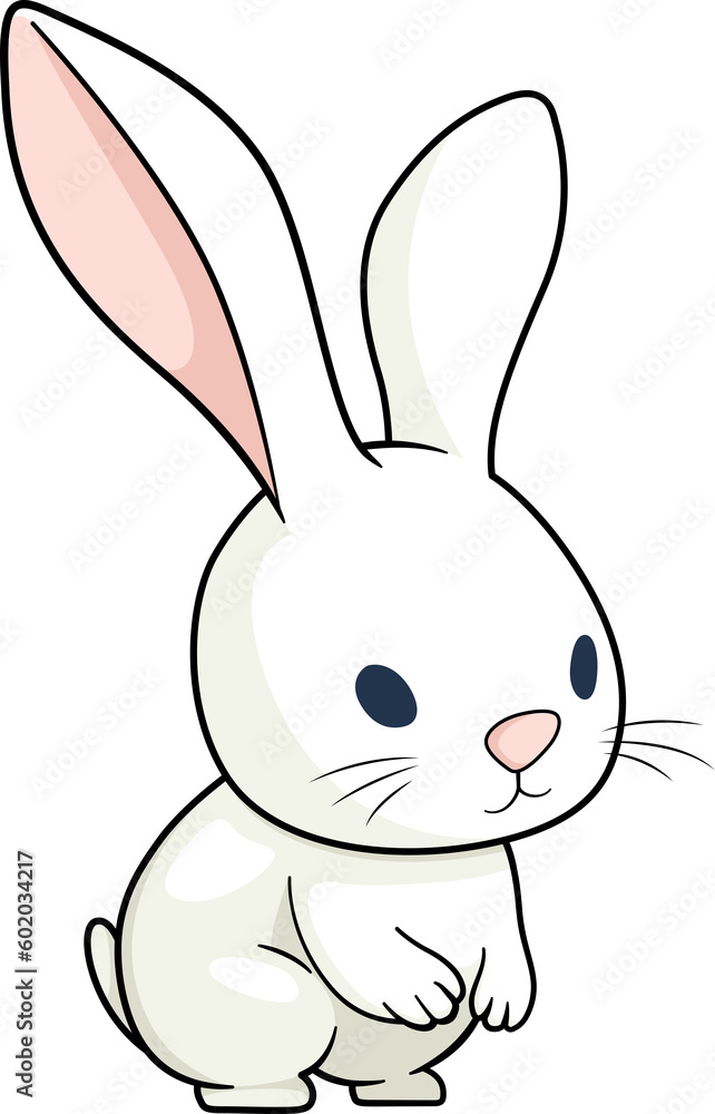 Cute rabbit Cute rabbit