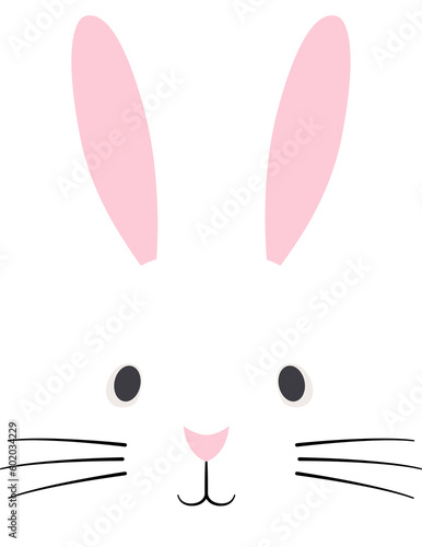Cute rabbit