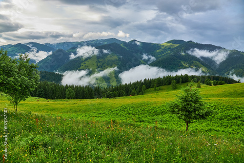 Summer landscape in mountains and the blue sky