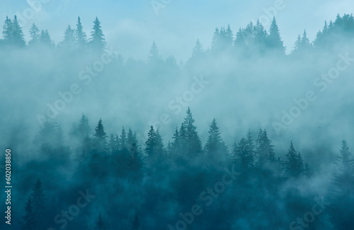 Abstract landscape in the mountains, with fog © Ryzhkov Oleksandr