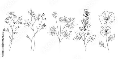 Set of hand drawn flower icons. Natural floral elements collection. Vector illustration.