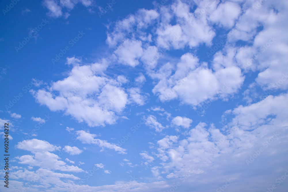 custom made wallpaper toronto digitalBlue Sky white cloudy sunny day natural view