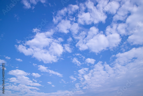 Wallpaper Mural Blue Sky white cloudy sunny day natural view Torontodigital.ca
