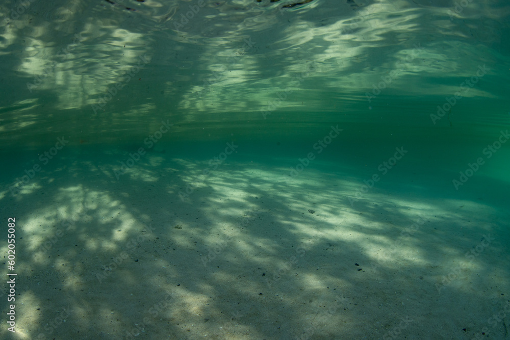 Sunlight filtering through a rainforest mixes with shadows on a shallow sandy seafloor in West Papua, Indonesia. This beautiful, tropical region harbors extraordinary biodiversity.