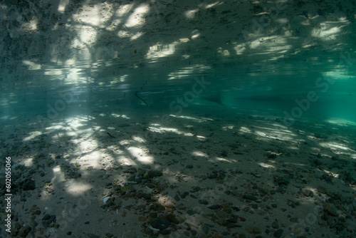 Sunlight filtering through a rainforest mixes with shadows on a shallow sandy seafloor in West Papua, Indonesia. This beautiful, tropical region harbors extraordinary biodiversity.