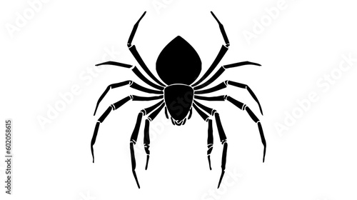 Spider black icon, logo. Vector illustration isolated on white background