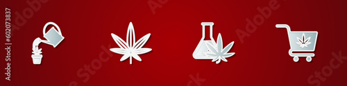Set Watering can marijuana, Marijuana or cannabis leaf, Test tube with and Shopping cart icon. Vector