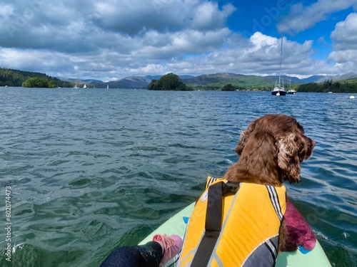 paddleboarding with dog, dog on paddle board