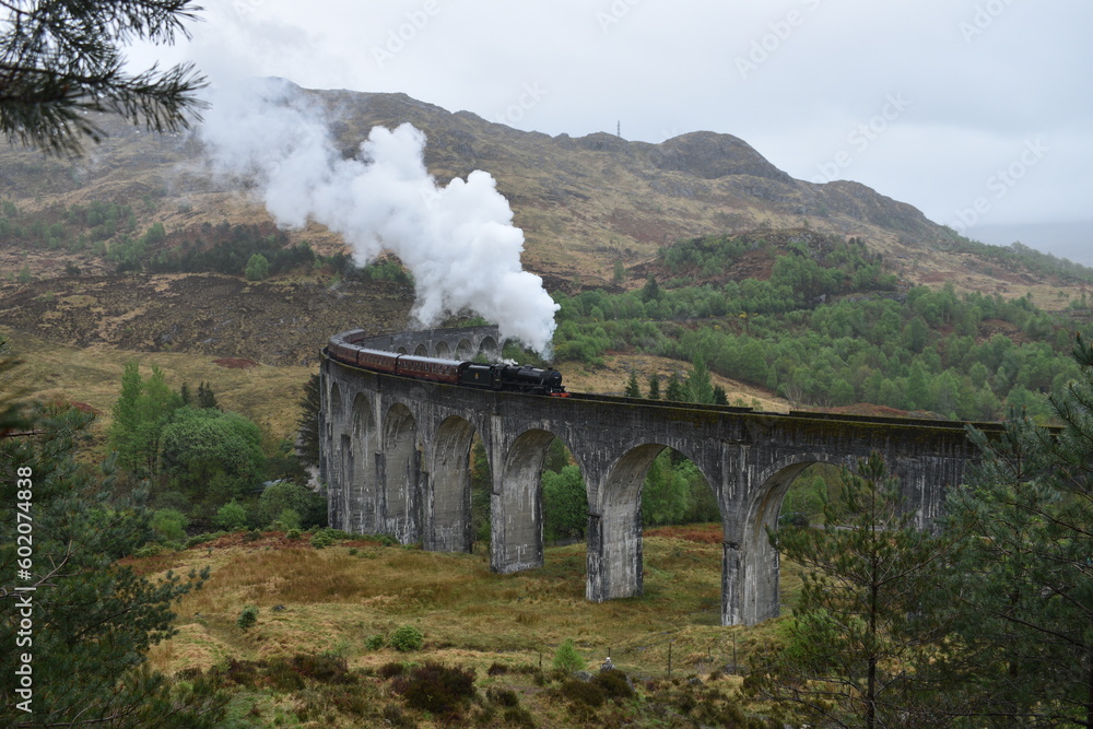 Naklejka premium Glenfinnan viaduct