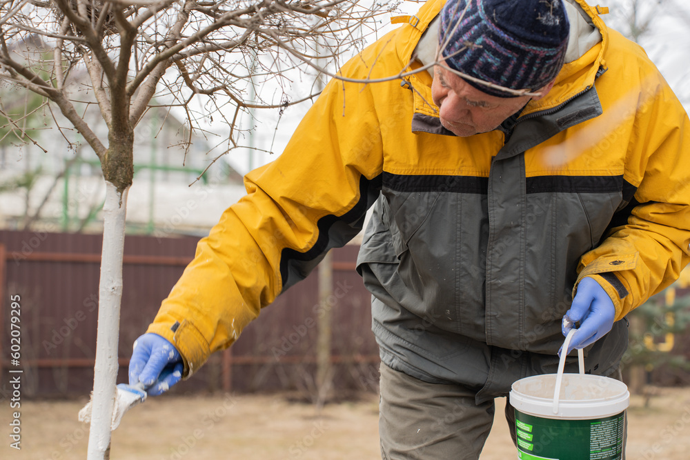 Early spring, farmer covering the tree with white paint to protect against rodents, spring garden work, whitewashed trees. Gardening and people concept. High quality photo Early spring, farmer covering the tree with white paint to protect against rodents, spring garden work, whitewashed trees. Gardening and people concept. High quality photo