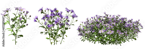 Violet flowers shrubs cutout backgrounds 3d rendering png