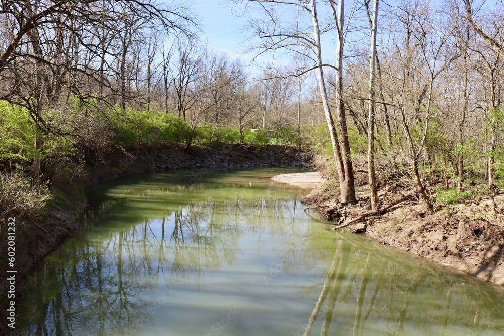 The flowing creek in the countryside on a sunny day.