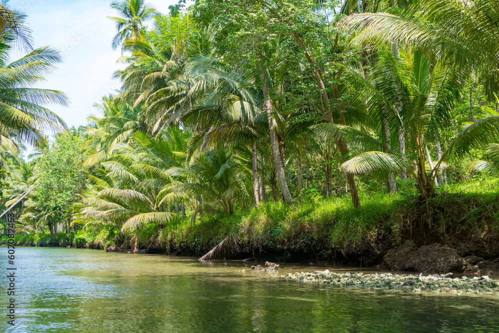 Cruising on the beautiful and calm river with trees at Kali Cokel, Pacitan, Indonesia. Cruising on the beautiful and calm river with trees at Kali Cokel, Pacitan, Indonesia.