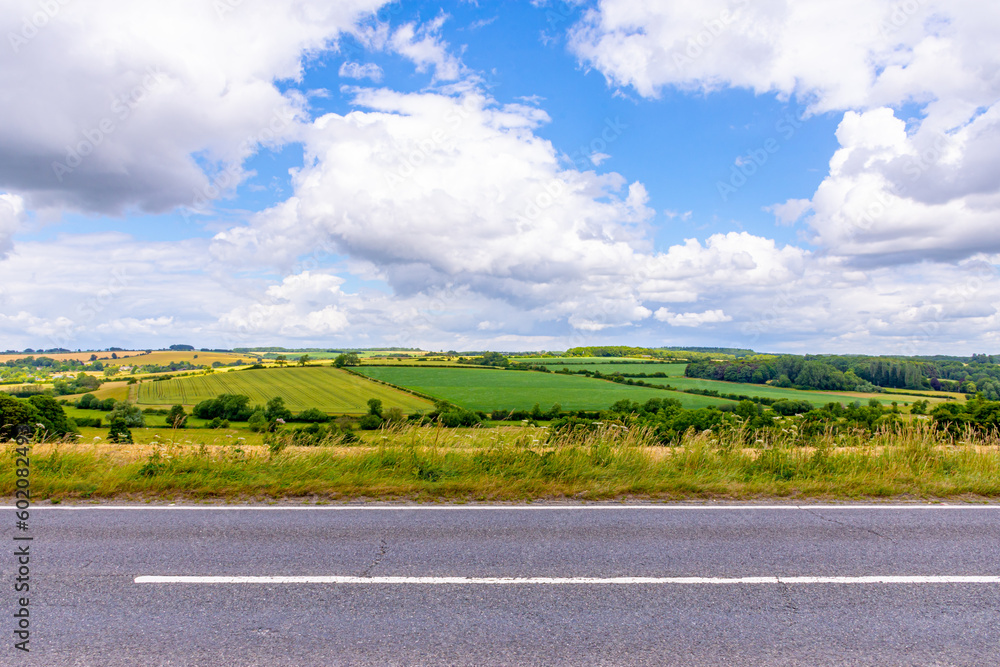 Fototapeta premium Empty asphalt rural road with agriculture field, grassland and blue sky with white clouds. Road background.