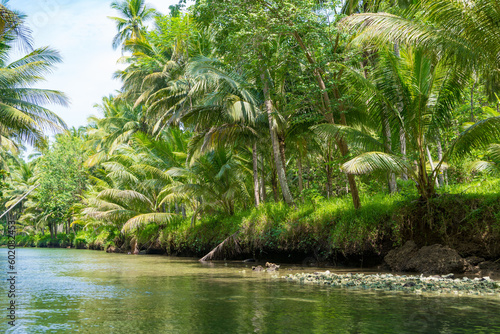 Cruising on the beautiful and calm river with trees at Kali Cokel  Pacitan  Indonesia.