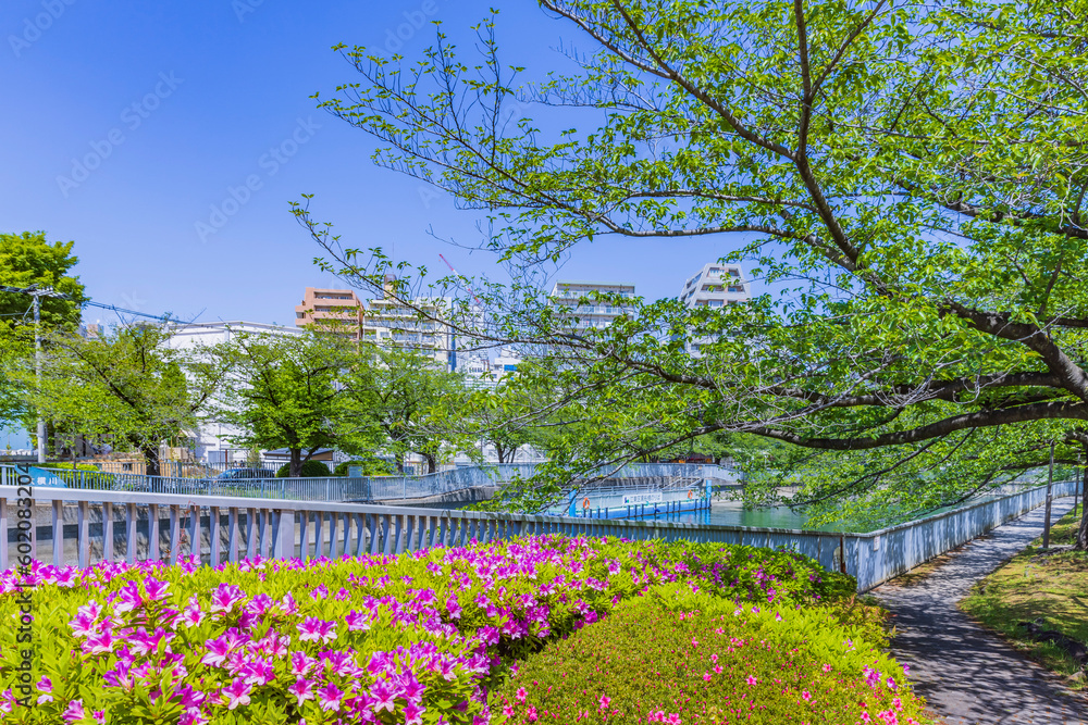 Obraz premium 新緑の東京リバーサイド 東京春風景