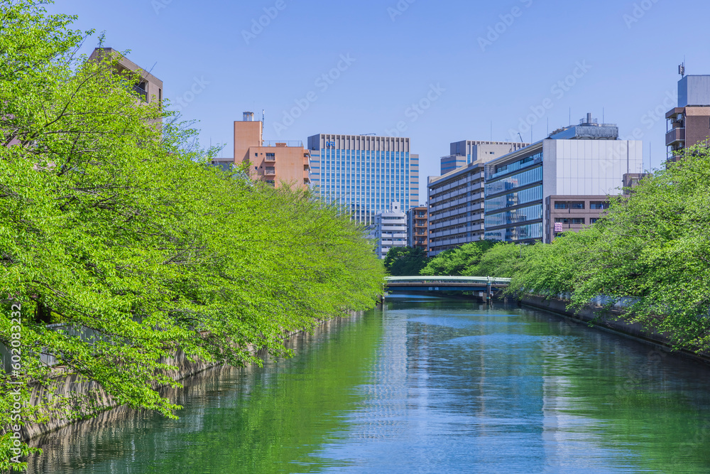 新緑の東京リバーサイド　東京春風景