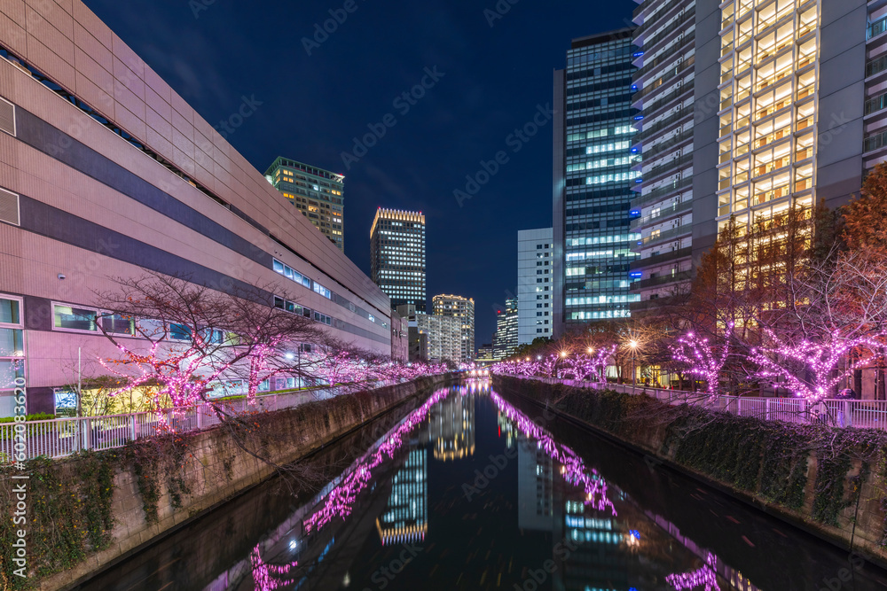 Obraz premium イルミネーションの東京リバーサイド 東京都市夜景
