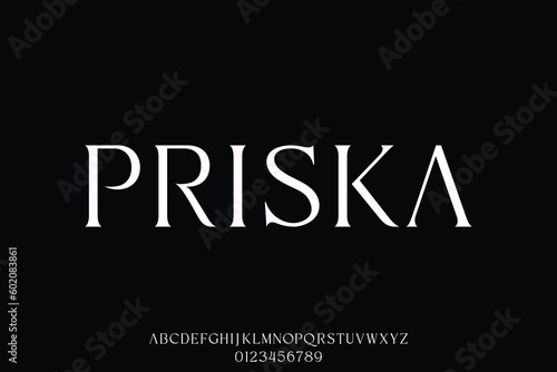 Modern fancy and elegant serif display font vector