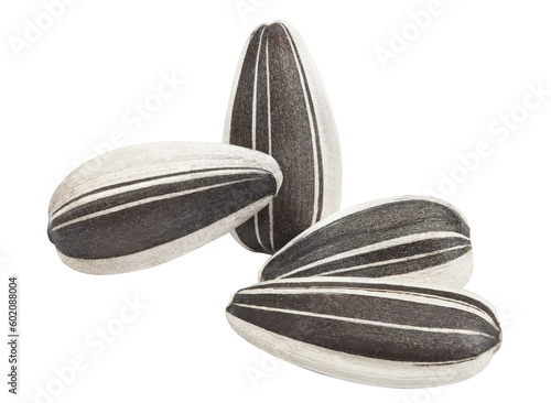 Delicious sunflower seeds cut out
