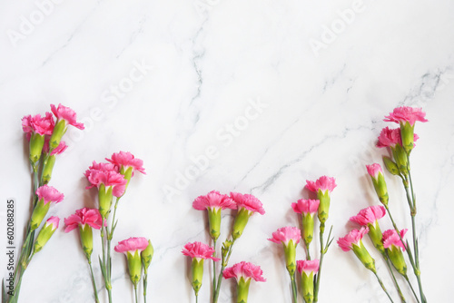 Fototapeta Naklejka Na Ścianę i Meble -  Red and pink carnations bouquet on white background. Mother's Day background. Love mom. Copy space.