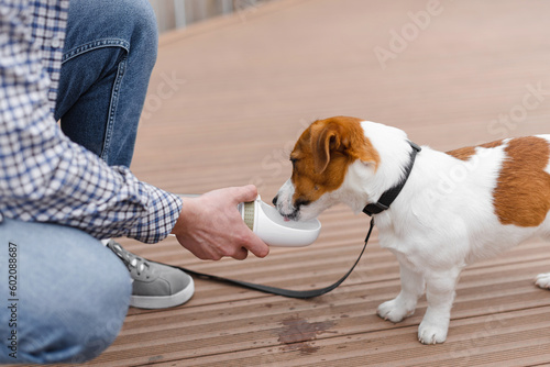 Canvas Print Dog drinking water from plastic bottle