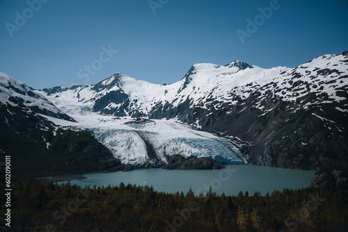Wallpaper Mural View of Portage glacier in the Chugach mountains and Portage lake on the background and pink blooming fireweed on the foreground. Shot in the USA, Alaska, in summer. Torontodigital.ca