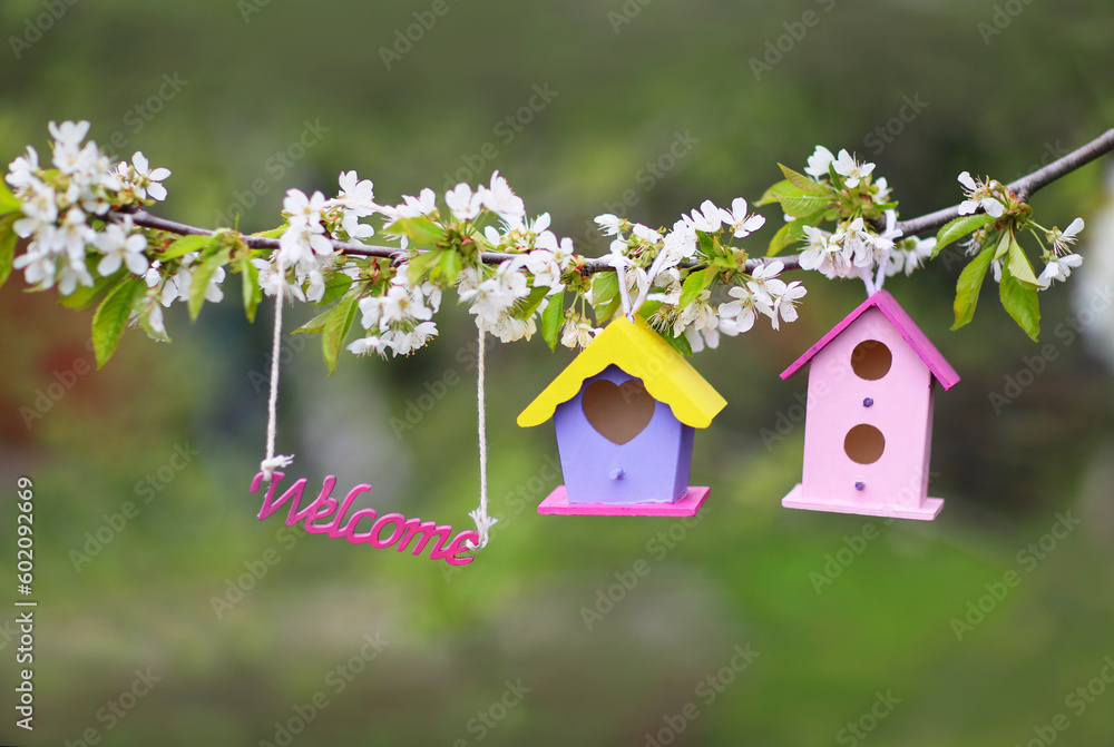 Obraz premium colorful bird houses hang on a flowering branch in a spring friendly garden
