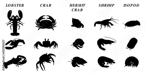 set of silhouettes of malacostraca sea animals like lobster, crab, hermit crab, shrimp and isopod. isolated images background. eps 10 photo