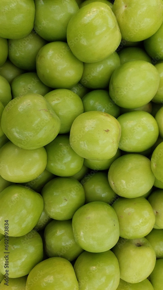 green fruit background of dates design for cool and healthy lifestyle green fruit background of dates design for cool and healthy lifestyle