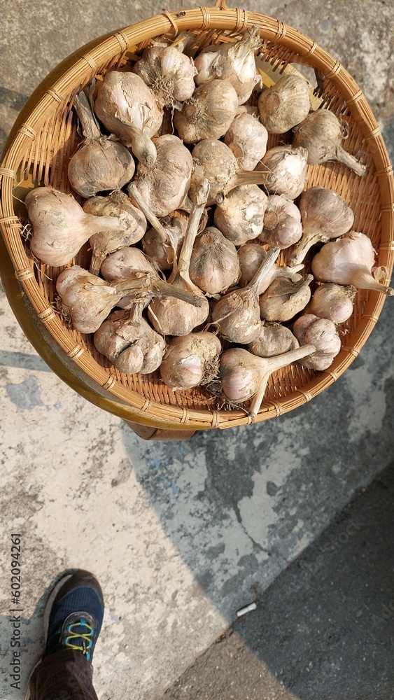 food background of sun-dried garlic design for healthy lifestyle food background of sun-dried garlic design for healthy lifestyle