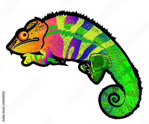 colorful chameleon illustration