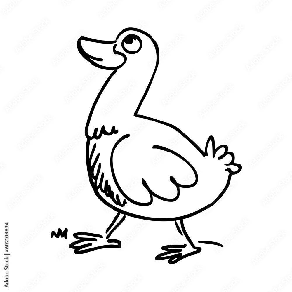 duck white and black doodle hand drawn web and design icon vector illustration duck white and black doodle hand drawn web and design icon vector illustration