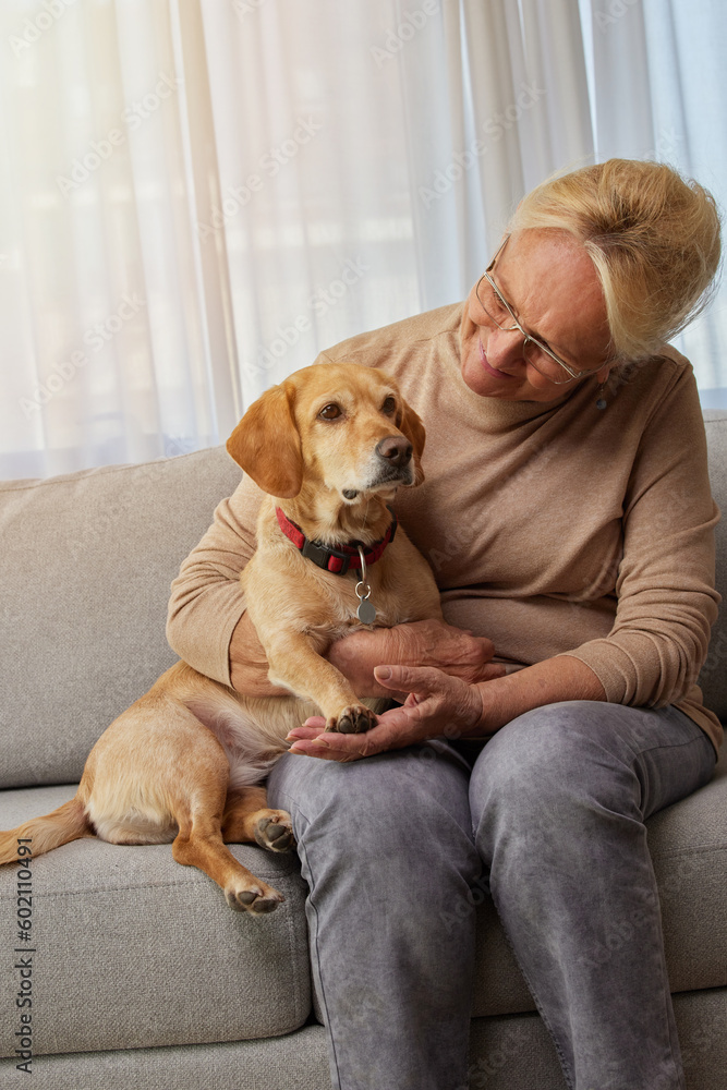 Happy retired senior woman embracing her small red dog and enjoying time with pet sitting on sofa at home Happy retired senior woman embracing her small red dog and enjoying time with pet sitting on sofa at home