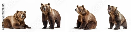 Wildlife animals bears banner panorama long - Collection of standing, sitting, screaming, lying group of brown bear (ursus arctos) , isolated on white background, Generative Ai photo