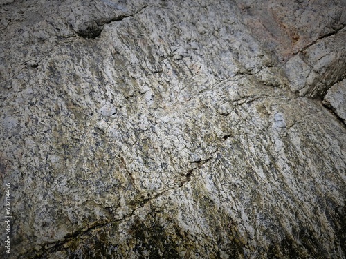 The brown rock texture 